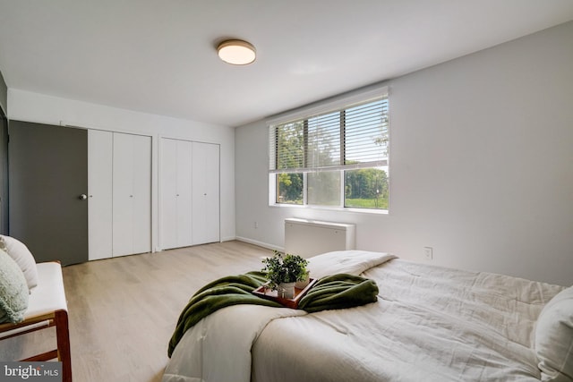 6631 Wakefield Dr Unit 209, Alexandria, VA 22307 - bedroom with multiple closets, wood finished floors, and baseboards