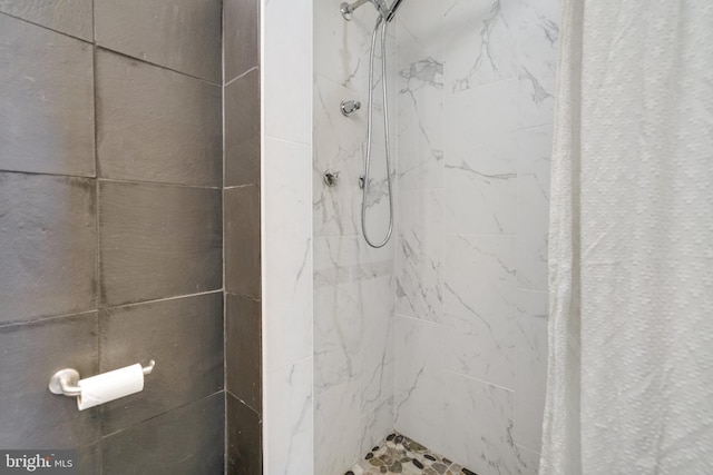6631 Wakefield Dr Unit 209, Alexandria, VA 22307 - full bath with a shower stall