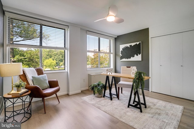 6631 Wakefield Dr Unit 209, Alexandria, VA 22307 - home office with wood finished floors, baseboards, and ceiling fan