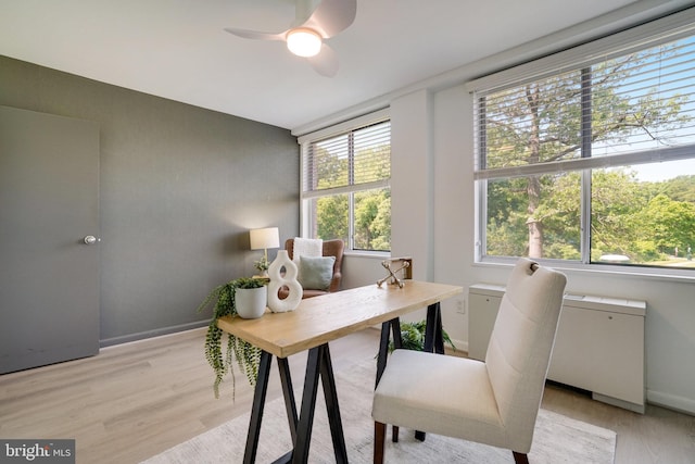 6631 Wakefield Dr Unit 209, Alexandria, VA 22307 - office area with light wood finished floors, a ceiling fan, radiator, and baseboards