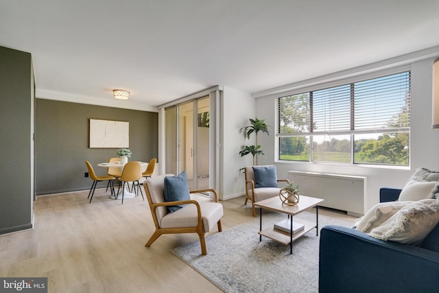 6631 Wakefield Dr Unit 209, Alexandria, VA 22307 - living area with radiator, light wood finished floors, and baseboards