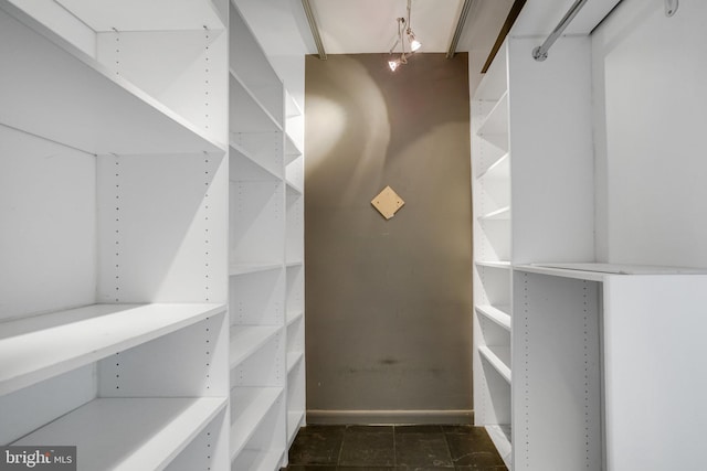 6631 Wakefield Dr Unit 209, Alexandria, VA 22307 - view of spacious closet