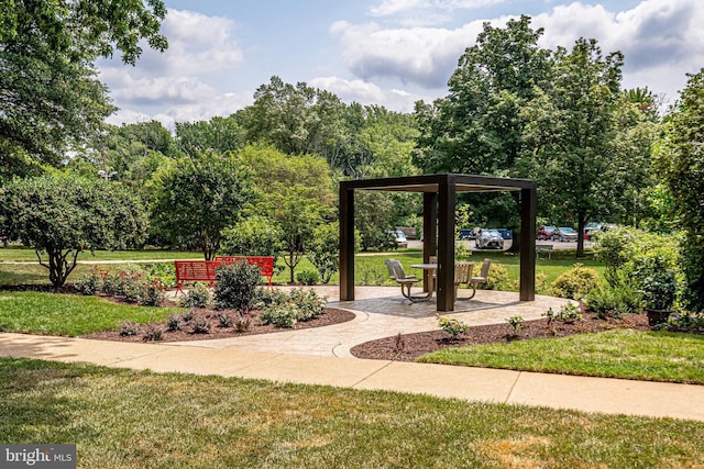 6631 Wakefield Dr Unit 209, Alexandria, VA 22307 - view of community featuring a yard and a gazebo