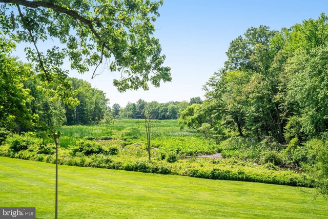 6631 Wakefield Dr Unit 209, Alexandria, VA 22307 - view of green lawn featuring a view of trees