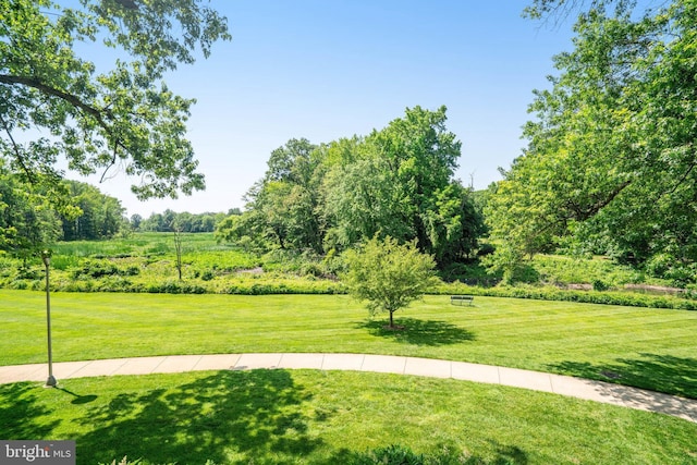 6631 Wakefield Dr Unit 209, Alexandria, VA 22307 - view of grassy yard