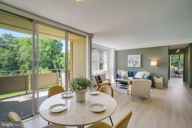 6631 Wakefield Dr Unit 209, Alexandria, VA 22307 - dining space featuring light wood-style flooring, plenty of natural light, and floor to ceiling windows