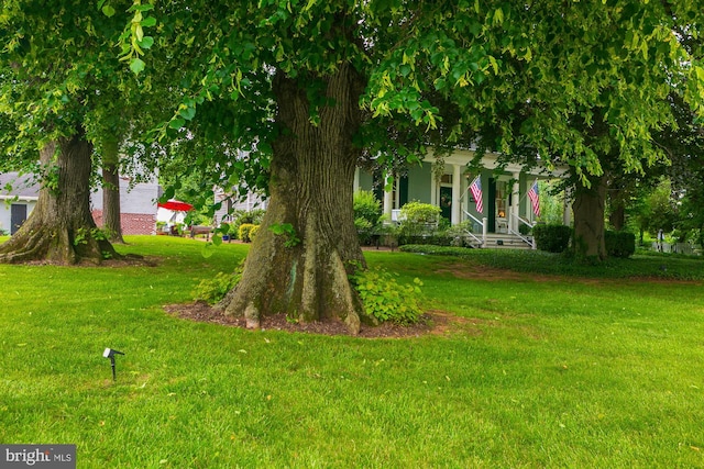 417 E Washington St, Charles Town, WV 25414 - view of green lawn featuring covered porch