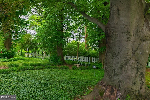 417 E Washington St, Charles Town, WV 25414 - view of yard
