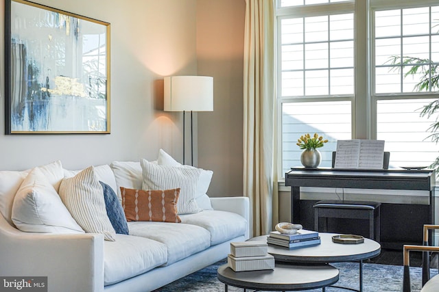6513 Manor Ridge Ct, Falls Church, VA 22043 - living area featuring plenty of natural light