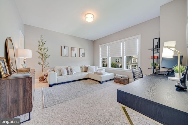 6513 Manor Ridge Ct, Falls Church, VA 22043 - view of carpeted living room