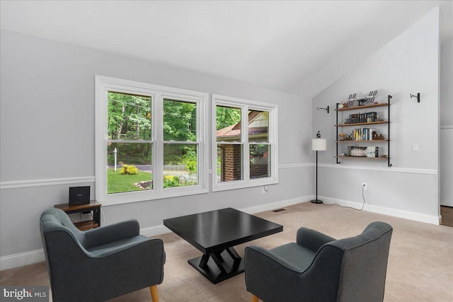 11239 Putman Rd, Thurmont, MD 21788 - living area featuring plenty of natural light, carpet, vaulted ceiling, and baseboards