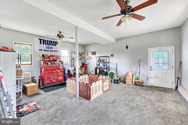 11 Thomas Cir, New Freedom, PA 17349 - interior space featuring a ceiling fan and carpet flooring