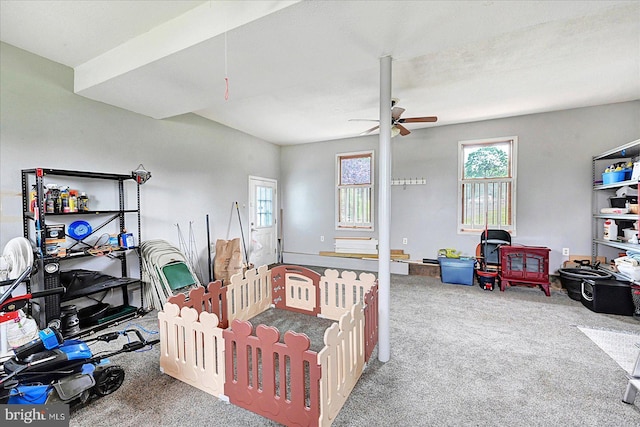 11 Thomas Cir, New Freedom, PA 17349 - bedroom with carpet flooring and a ceiling fan