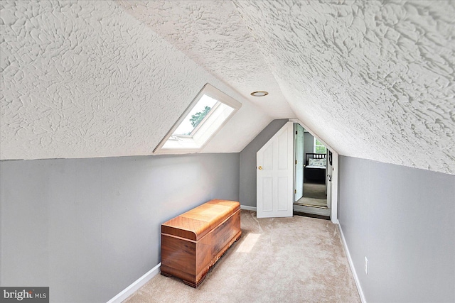 11 Thomas Cir, New Freedom, PA 17349 - bonus room with a textured ceiling, lofted ceiling, a skylight, and light colored carpet
