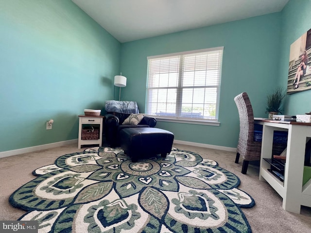 1143 Kayla Ln, Townsend, DE 19734 - carpeted home office featuring baseboards and lofted ceiling