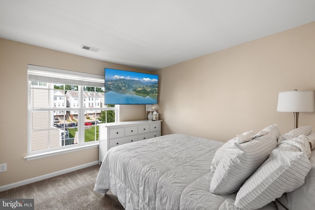 45711 Winding Branch Ter, Sterling, VA 20166 - carpeted bedroom featuring baseboards