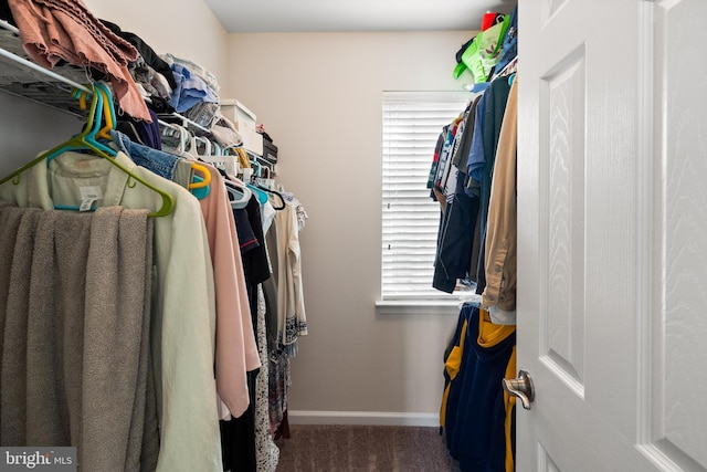 45711 Winding Branch Ter, Sterling, VA 20166 - spacious closet with carpet flooring