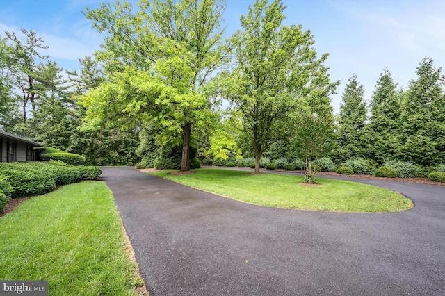516 Merrimans Ln, Winchester, VA 22601 - view of road