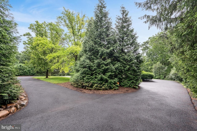 516 Merrimans Ln, Winchester, VA 22601 - view of road featuring a forest view