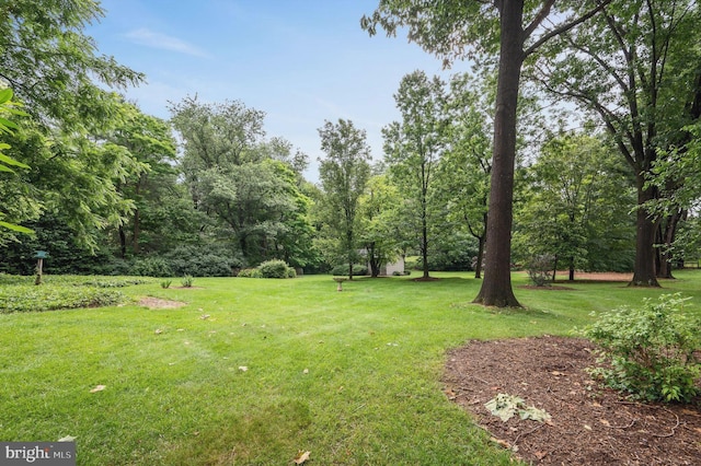 516 Merrimans Ln, Winchester, VA 22601 - view of grassy yard