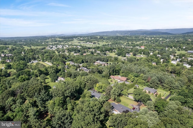 516 Merrimans Ln, Winchester, VA 22601 - view of property location featuring a heavily wooded area