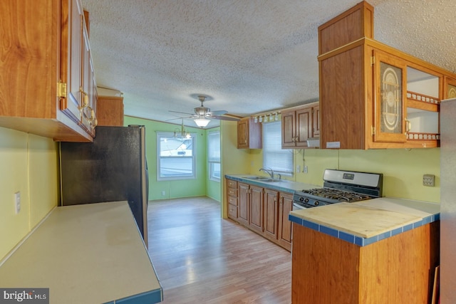 32588 Captains Way, Millsboro, DE 19966 - kitchen featuring appliances with stainless steel finishes, ceiling fan, brown cabinetry, light wood-style flooring, and a textured ceiling