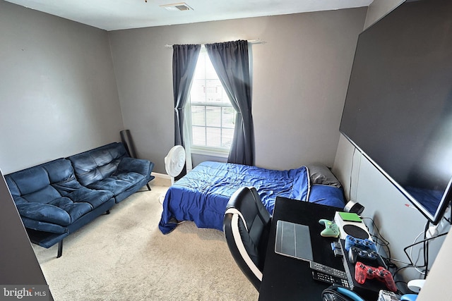 53 Skyview Cir, Hanover, PA 17331 - view of carpeted bedroom