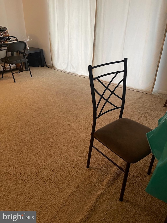 12001 Old Columbia Pike Unit 207, Silver Spring, MD 20904 - dining area with carpet floors