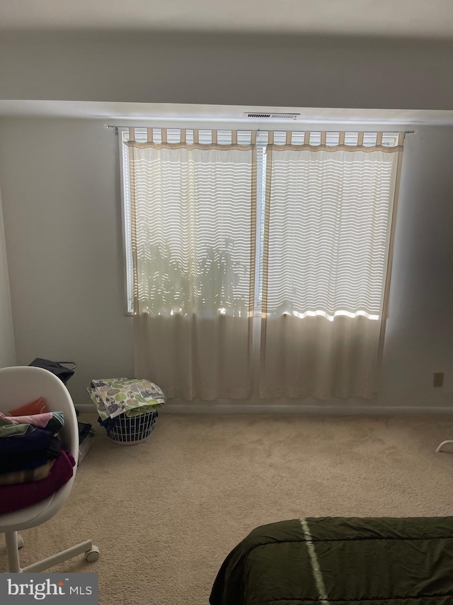 12001 Old Columbia Pike Unit 207, Silver Spring, MD 20904 - unfurnished room with carpet floors and healthy amount of natural light