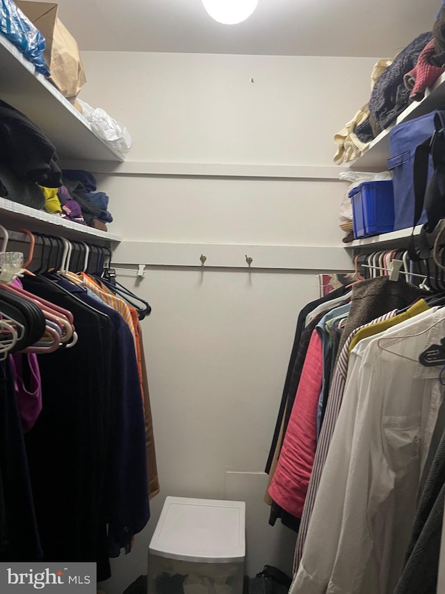 12001 Old Columbia Pike Unit 207, Silver Spring, MD 20904 - view of walk in closet