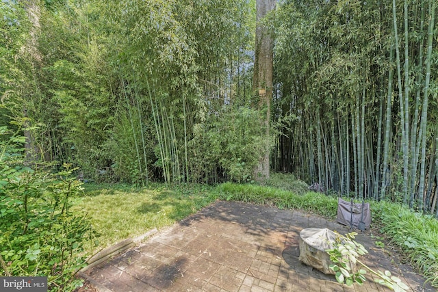 10702 Orchard St, Fairfax, VA 22030 - view of patio with a fire pit