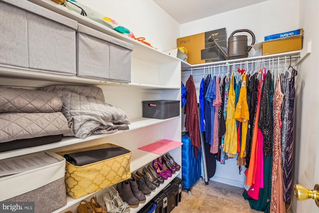 12909 Churchill Ridge Cir Unit 2, Germantown, MD 20874 - spacious closet featuring light carpet
