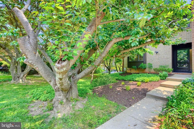 302 Five Farms Ln, Lutherville Timonium, MD 21093 - view of yard