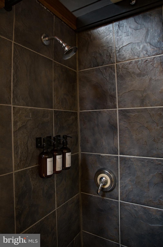244 10th St NE, Washington, DC 20002 - bathroom view of tiled shower