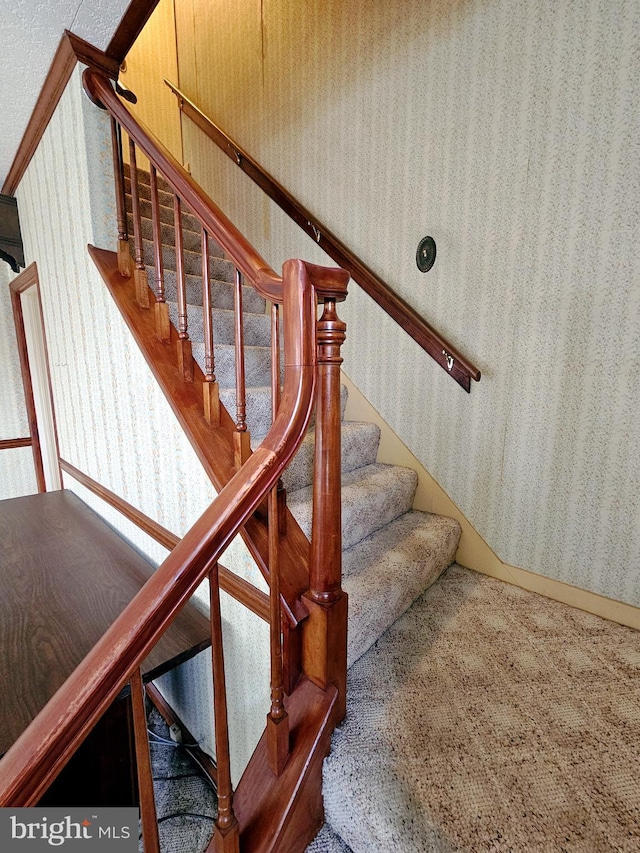 33 N Washington St, Cleona, PA 17042 - stairway with carpet flooring
