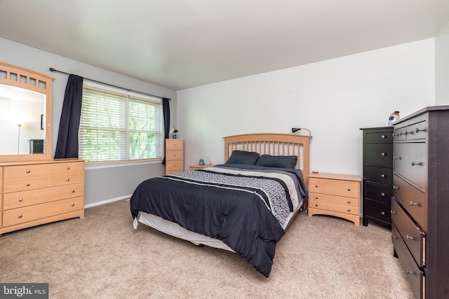 1993 Ryans Run, Lansdale, PA 19446 - bedroom featuring carpet and baseboards