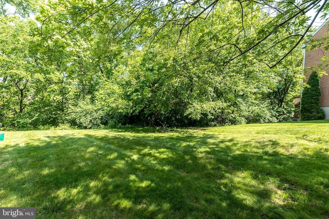1993 Ryans Run, Lansdale, PA 19446 - view of green lawn