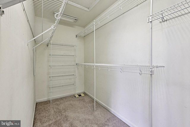 11793 Nates Pl, Woodbridge, VA 22192 - walk in closet with carpet flooring