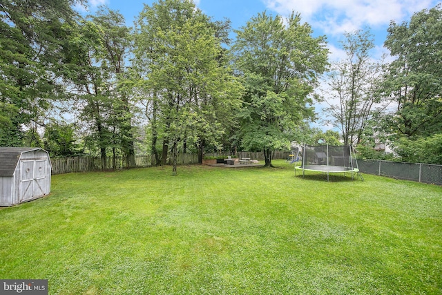 6001 Kroy Ct, Springfield, VA 22150 - fenced backyard with a trampoline and a storage unit