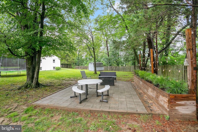 6001 Kroy Ct, Springfield, VA 22150 - fenced backyard with a storage unit, a patio, and a trampoline