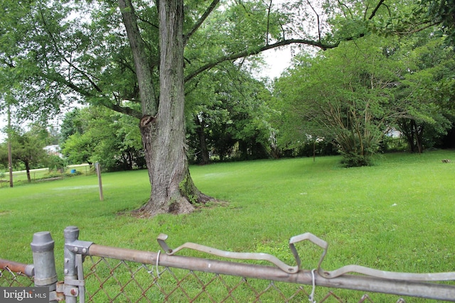 803 Grafton St, Fredericksburg, VA 22405 - view of yard