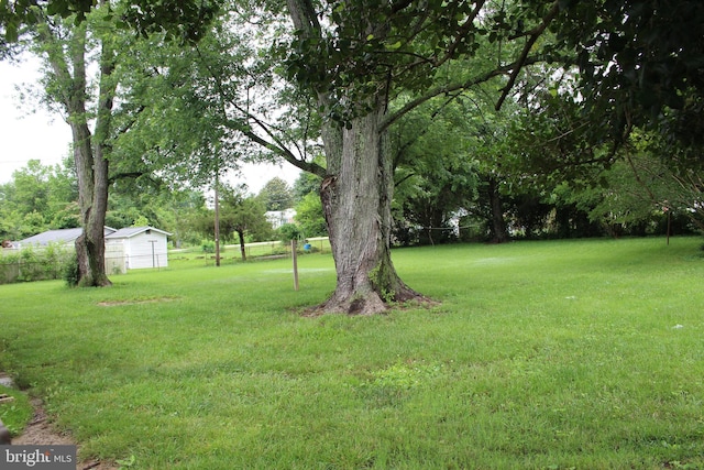 803 Grafton St, Fredericksburg, VA 22405 - view of yard