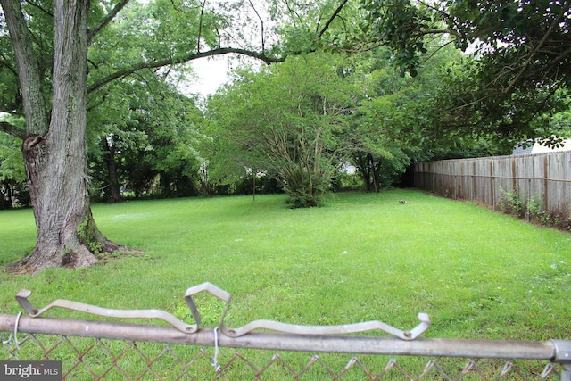 803 Grafton St, Fredericksburg, VA 22405 - view of yard