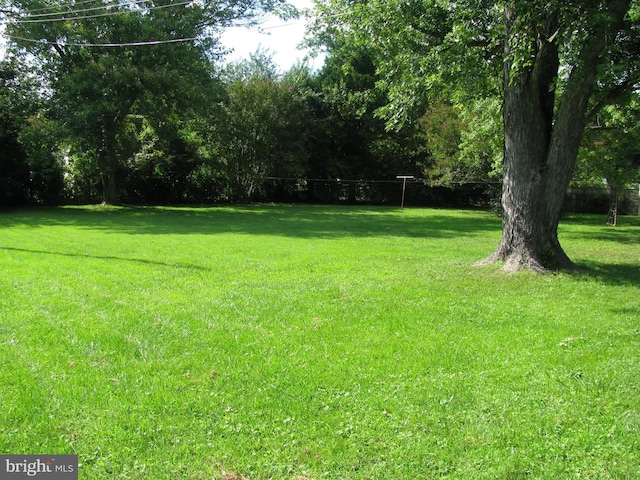 803 Grafton St, Fredericksburg, VA 22405 - view of grassy yard