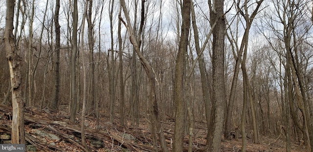 20526 Laurel Mountain Rd, Three Springs, PA 17264