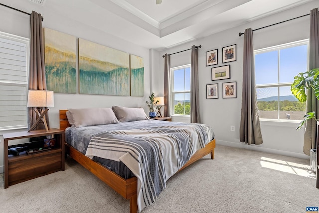 820 Swede St, Charlottesville, VA 22901 - carpeted bedroom featuring multiple windows, a mountain view, and baseboards