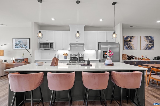 820 Swede St, Charlottesville, VA 22901 - kitchen with appliances with stainless steel finishes, a sink, under cabinet range hood, light countertops, and a kitchen island with sink