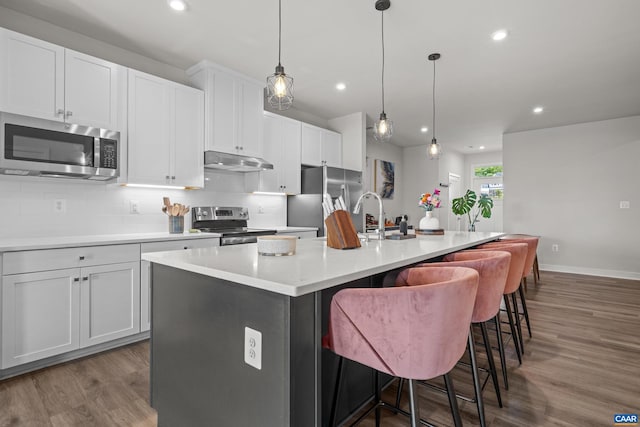 820 Swede St, Charlottesville, VA 22901 - kitchen with appliances with stainless steel finishes, under cabinet range hood, dark wood finished floors, an island with sink, and recessed lighting