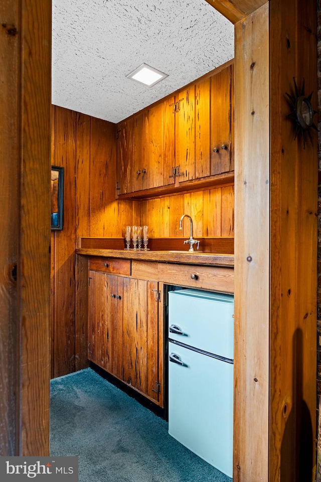 320 S Main St, Quakertown, PA 18951 - indoor wet bar with freestanding refrigerator, dark carpet, and wooden walls
