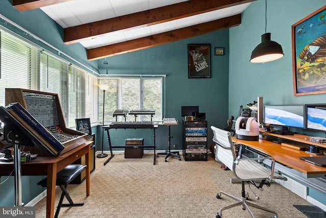 320 S Main St, Quakertown, PA 18951 - office space featuring carpet floors